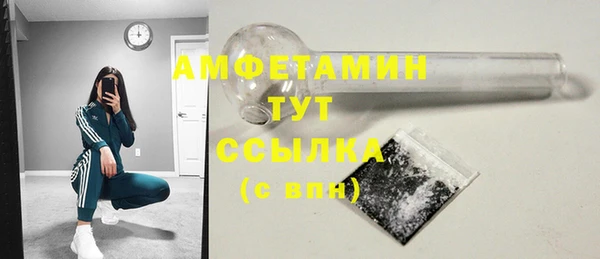 сатива Елабуга
