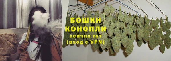 прущие крисы Зеленокумск