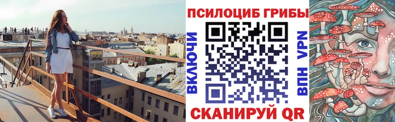 Купить где Слюдянка Псилоцибиновые грибы Magic Shrooms